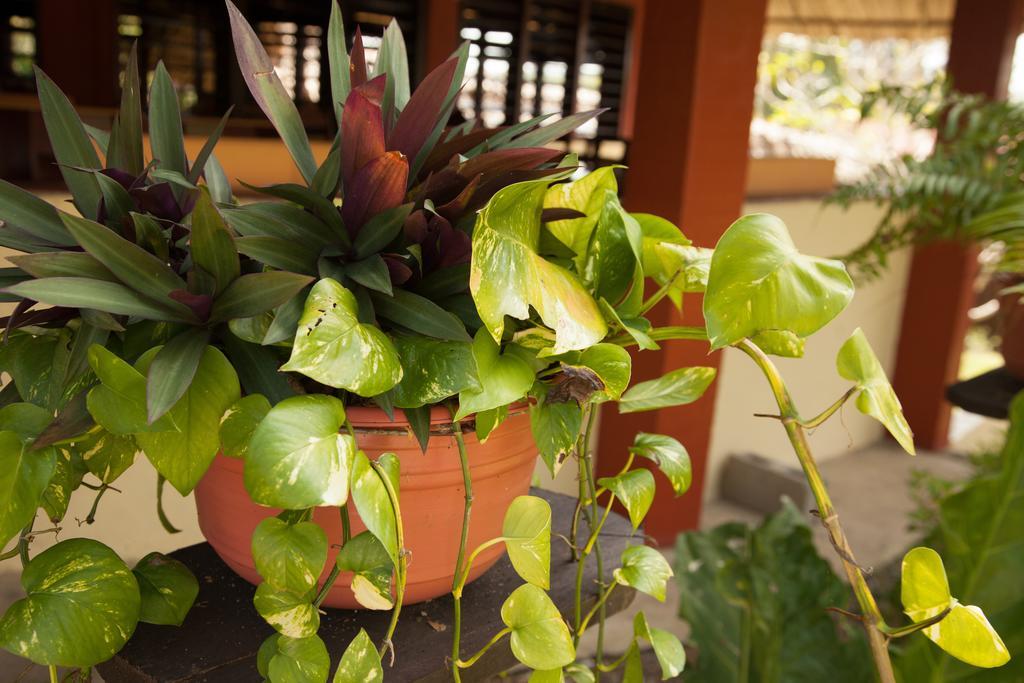 Windy Hill Resort San Ignacio Esterno foto