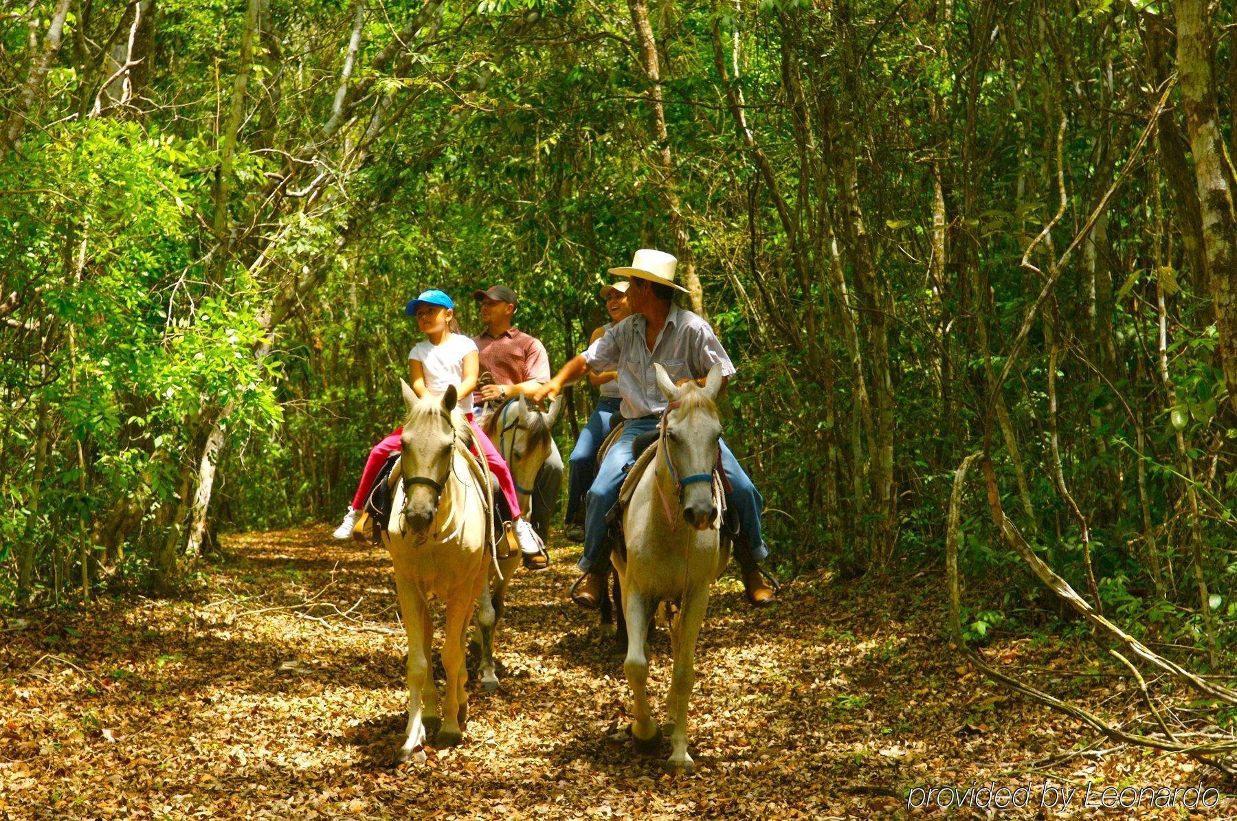 Windy Hill Resort San Ignacio Esterno foto